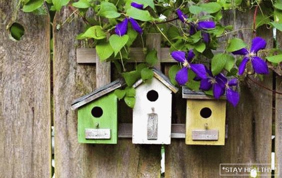 Aves silvestres en su casa de verano - cómo atraer Control de plagas y protección del cultivo.