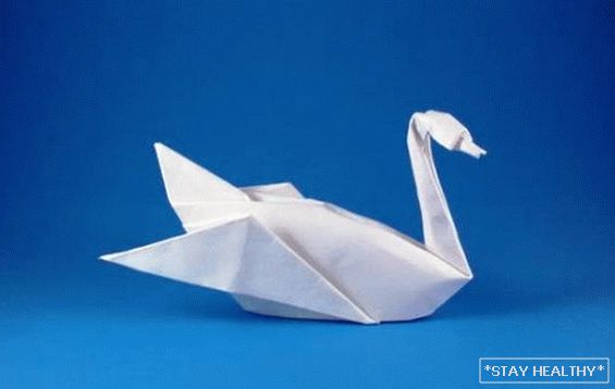 Cómo hacer un cisne de papel? Variantes de figuras yInstrucciones paso a paso con fotos: haz cisnes con papel.